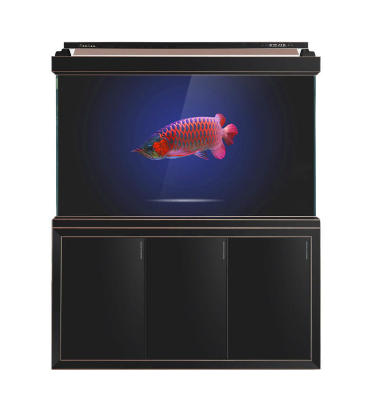 موردون لحوض أسماك مع تصفية القاع وشاشة التقسيم لسلسلة H2FU