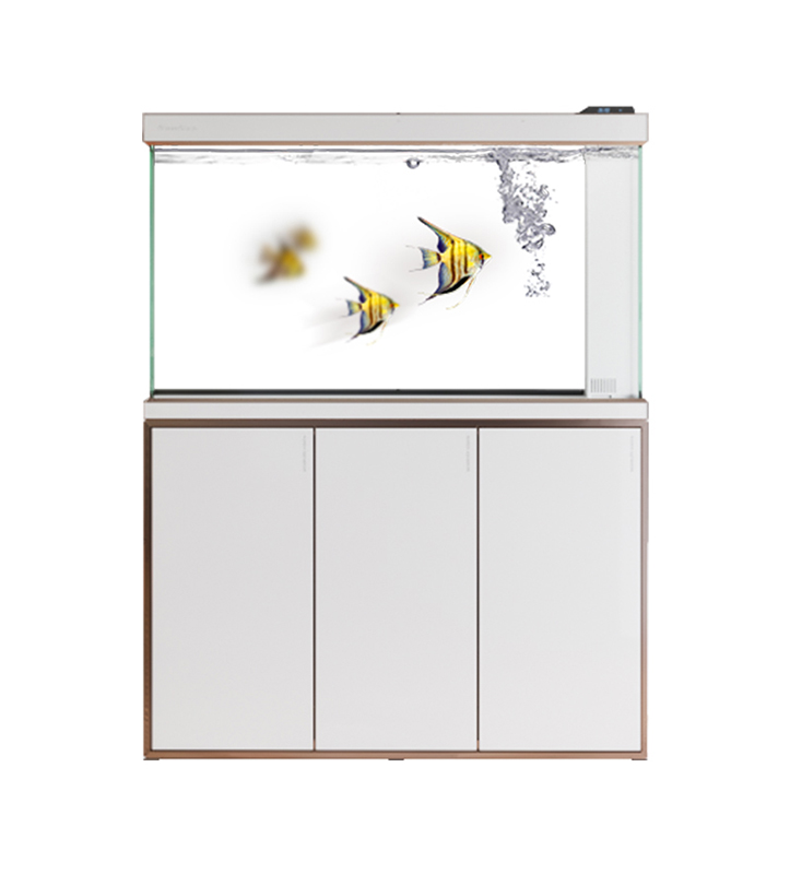 كم مرة يجب تنظيف خزانات أسماك الزينة؟