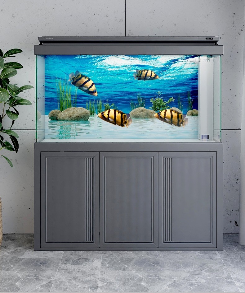 كيفية اختيار الحجم المناسب لأحواض السمك للمبتدئين؟